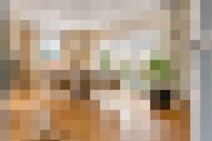 Pinksterbloem 23 Culemborg thumbnail 9
