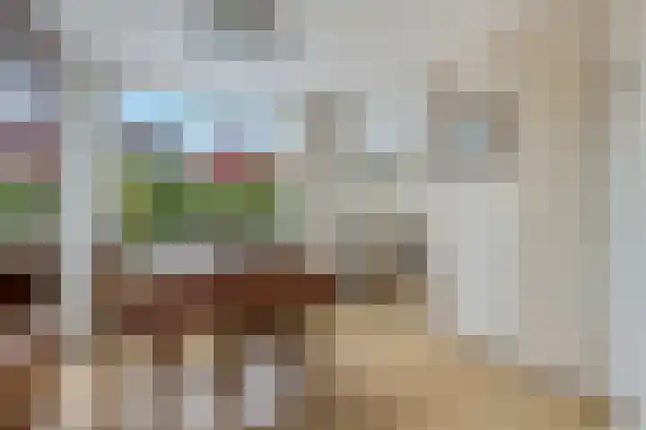 Pinksterbloem 24 Roden thumbnail 11