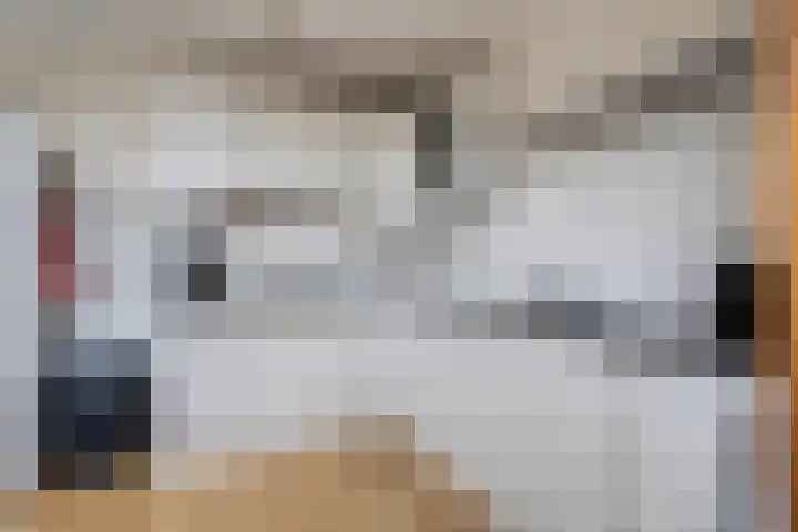 Pinksterbloem 24 Roden thumbnail 13