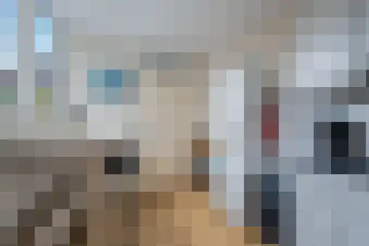 Pinksterbloem 24 Roden thumbnail 15
