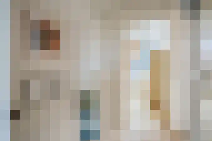 Pinksterbloem 24 Roden thumbnail 21
