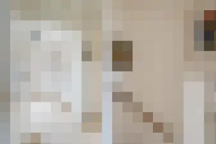 Pinksterbloem 24 Roden thumbnail 22