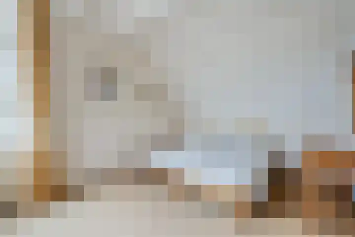 Pinksterbloem 24 Roden thumbnail 24