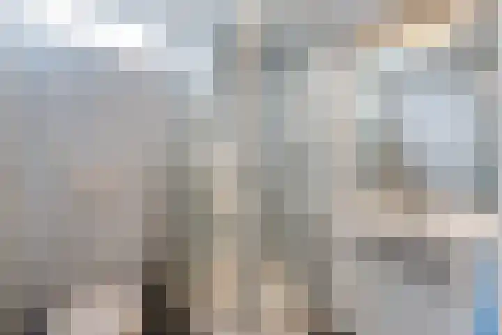 Pinksterbloem 24 Roden thumbnail 30