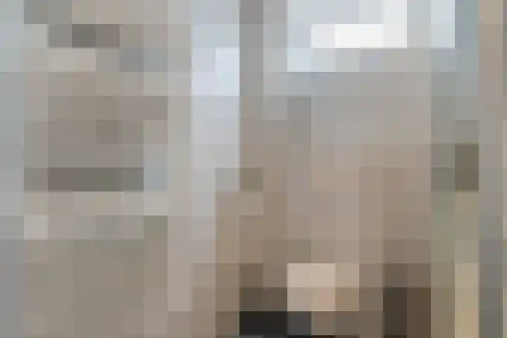 Pinksterbloem 24 Roden thumbnail 31