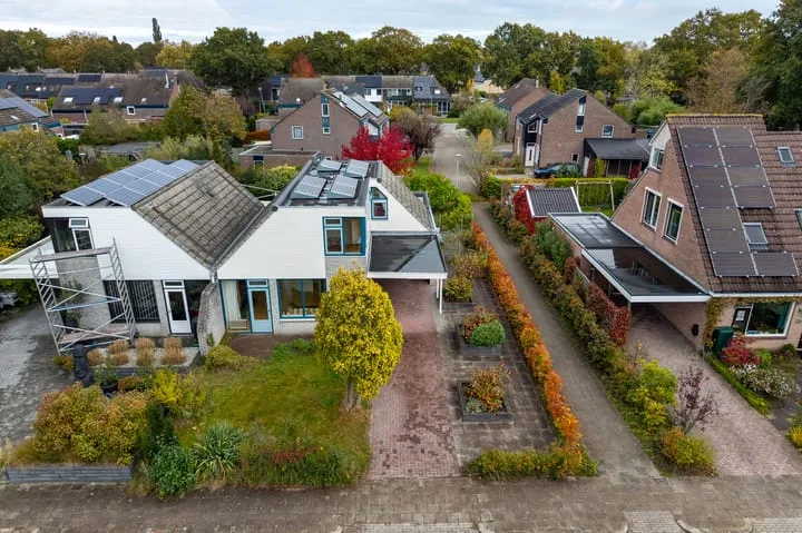 Pinksterbloem 24 Roden thumbnail 33