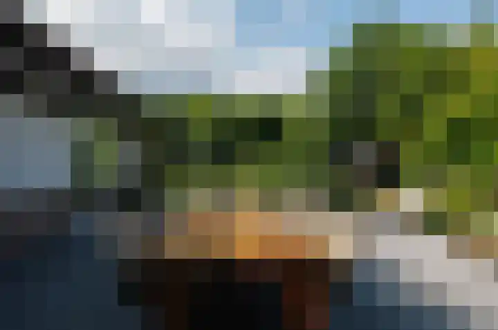Pinksterbloem 26 Beilen thumbnail 42