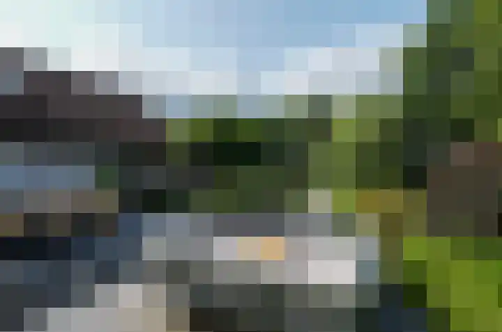 Pinksterbloem 26 Beilen thumbnail 43