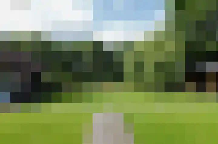 Pinksterbloem 26 Beilen thumbnail 47