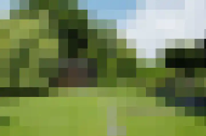 Pinksterbloem 26 Beilen thumbnail 48