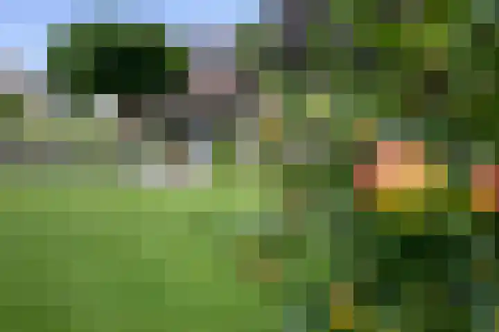 Pinksterbloem 26 Beilen thumbnail 55