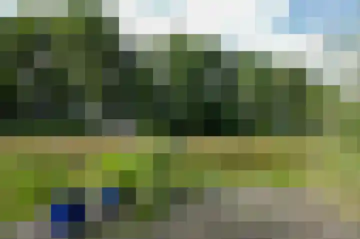 Pinksterbloem 26 Beilen thumbnail 56