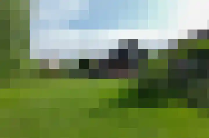 Pinksterbloem 26 Beilen thumbnail 61