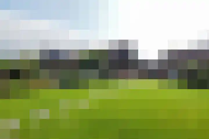 Pinksterbloem 26 Beilen thumbnail 62