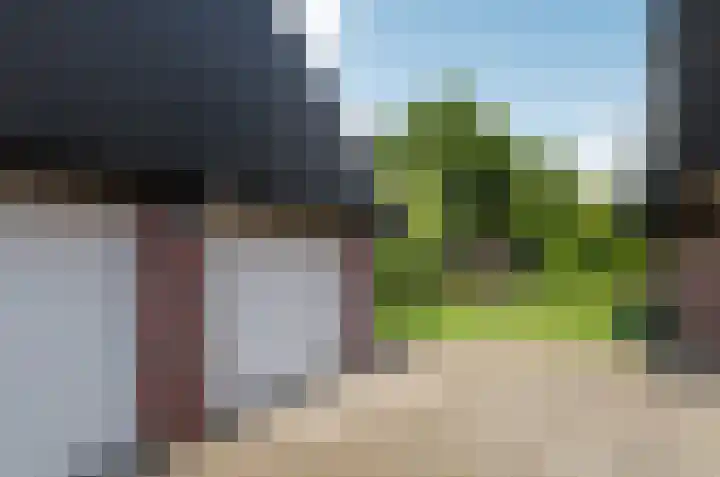 Pinksterbloem 26 Beilen thumbnail 63