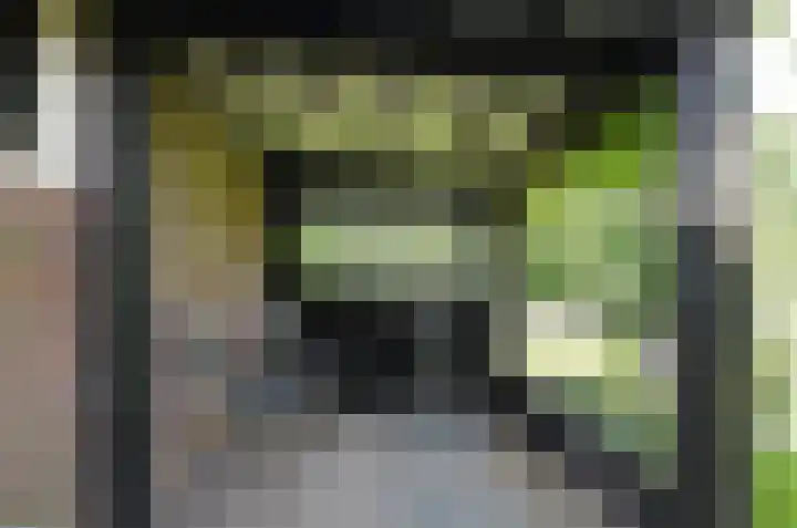 Pinksterbloem 26 Beilen thumbnail 65
