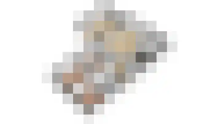 Pinksterbloem 26 Beilen thumbnail 71