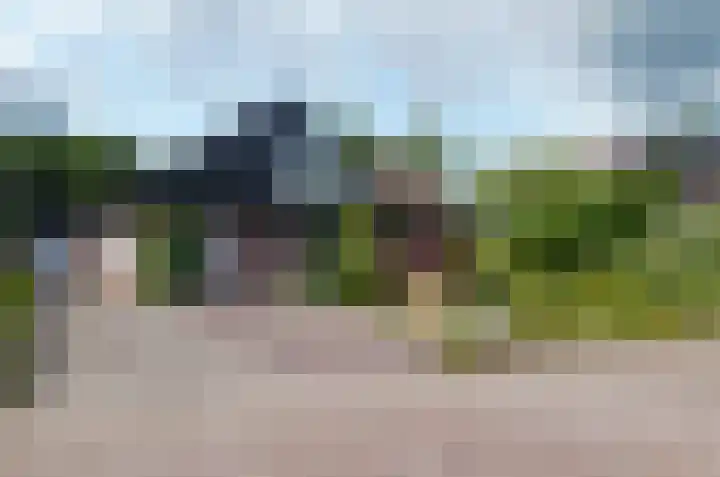 Pinksterbloem 26 Beilen thumbnail 85