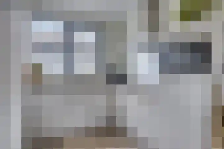 Pinksterbloem 26 Boekel thumbnail 10