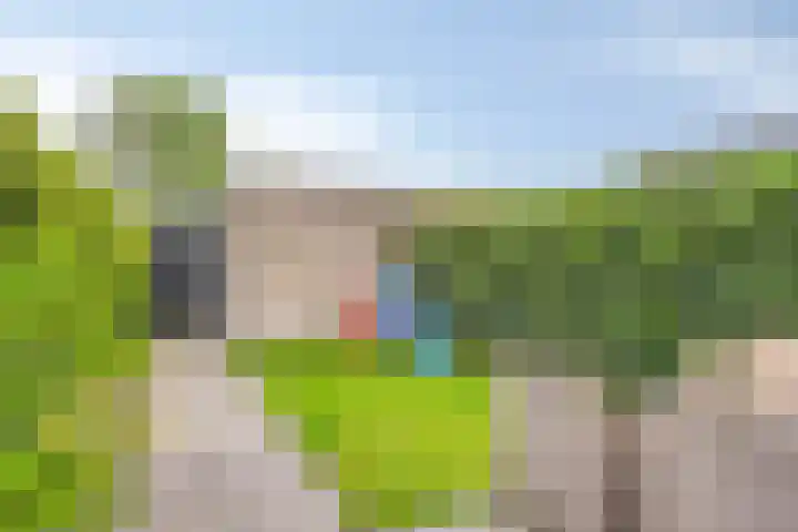 Pinksterbloem 26 Boekel thumbnail 18
