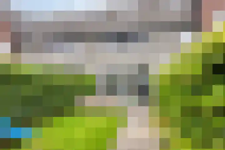 Pinksterbloem 26 Boekel thumbnail 19