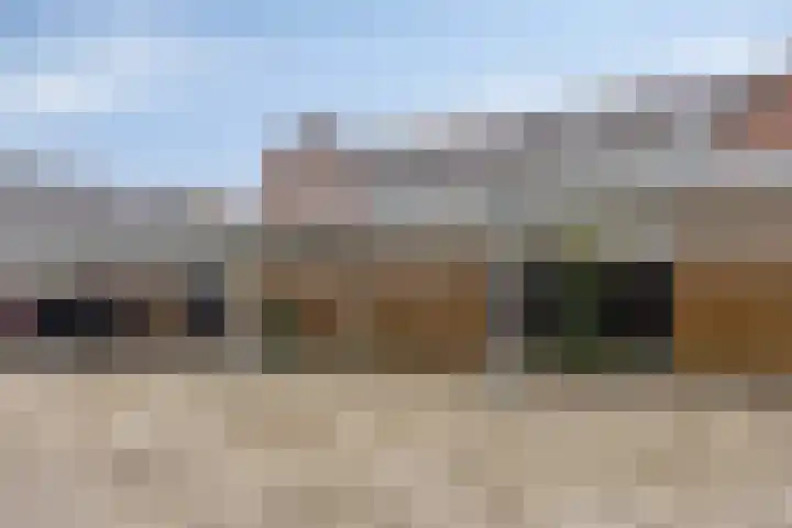 Pinksterbloem 26 Boekel thumbnail 21