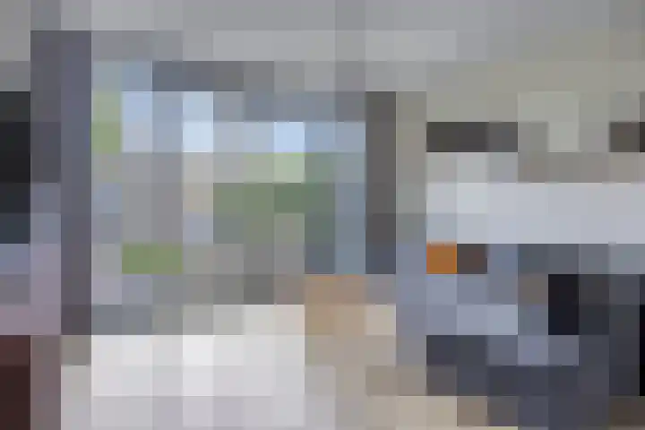 Pinksterbloem 26 Boekel thumbnail 6