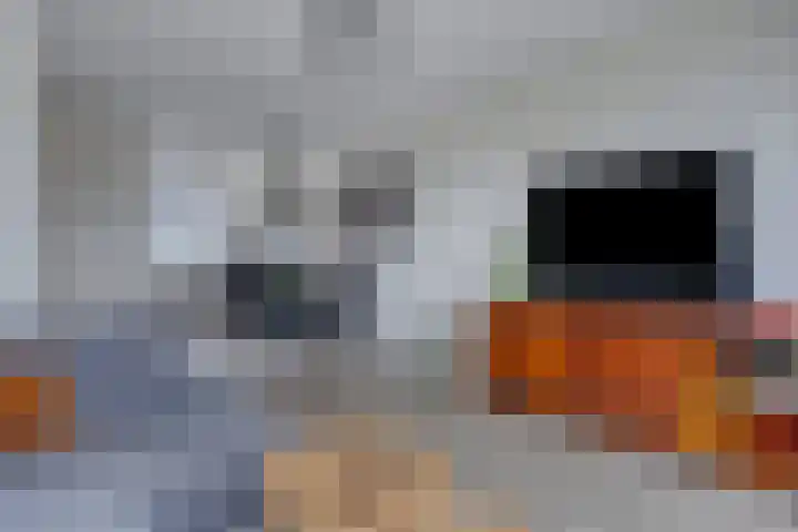 Pinksterbloem 26 Boekel thumbnail 8