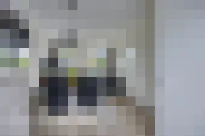 Pinksterbloem 26 Boekel thumbnail 9