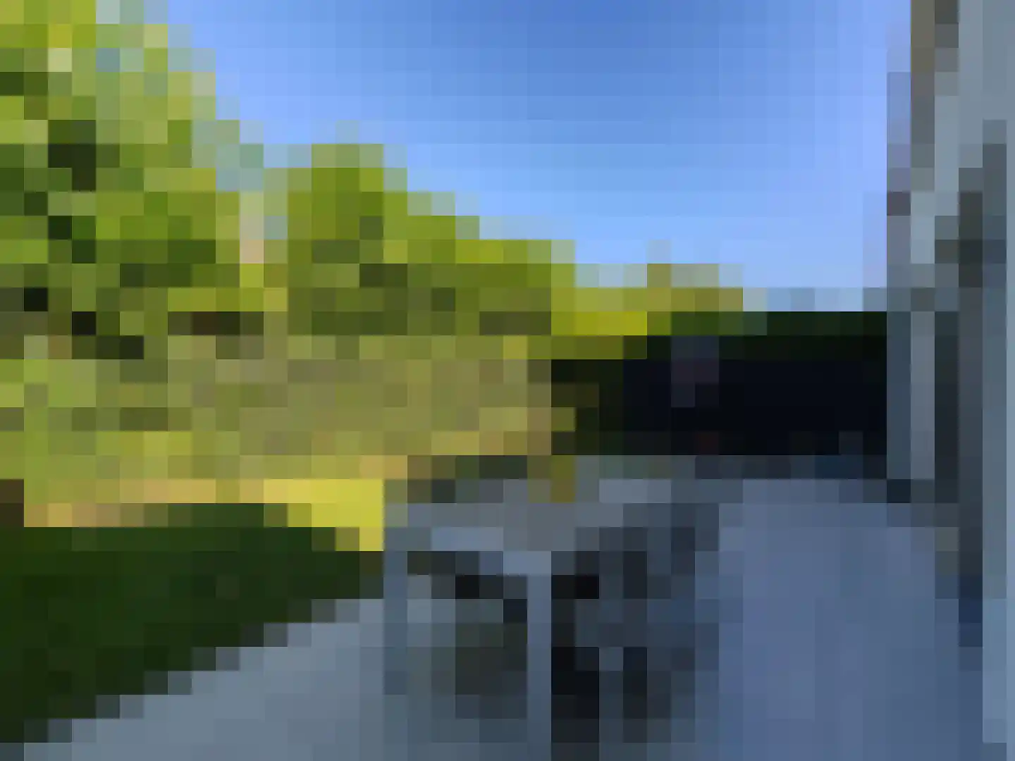 Pinksterbloem 26 Eijsden thumbnail 29