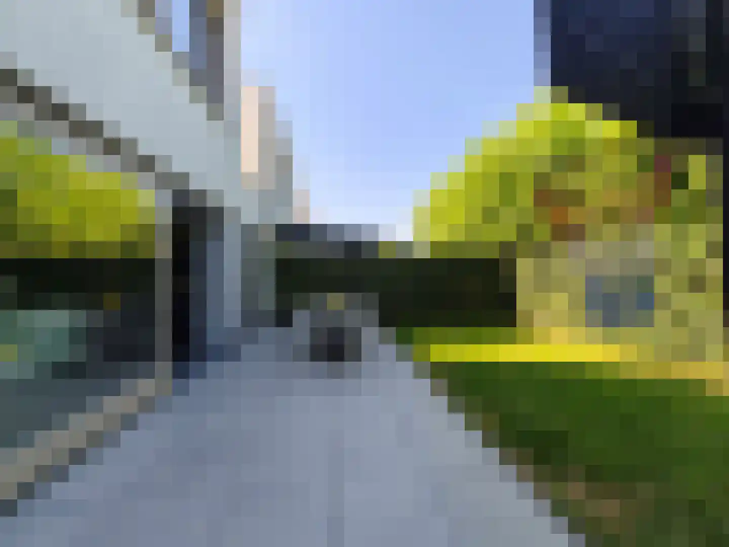 Pinksterbloem 26 Eijsden thumbnail 30
