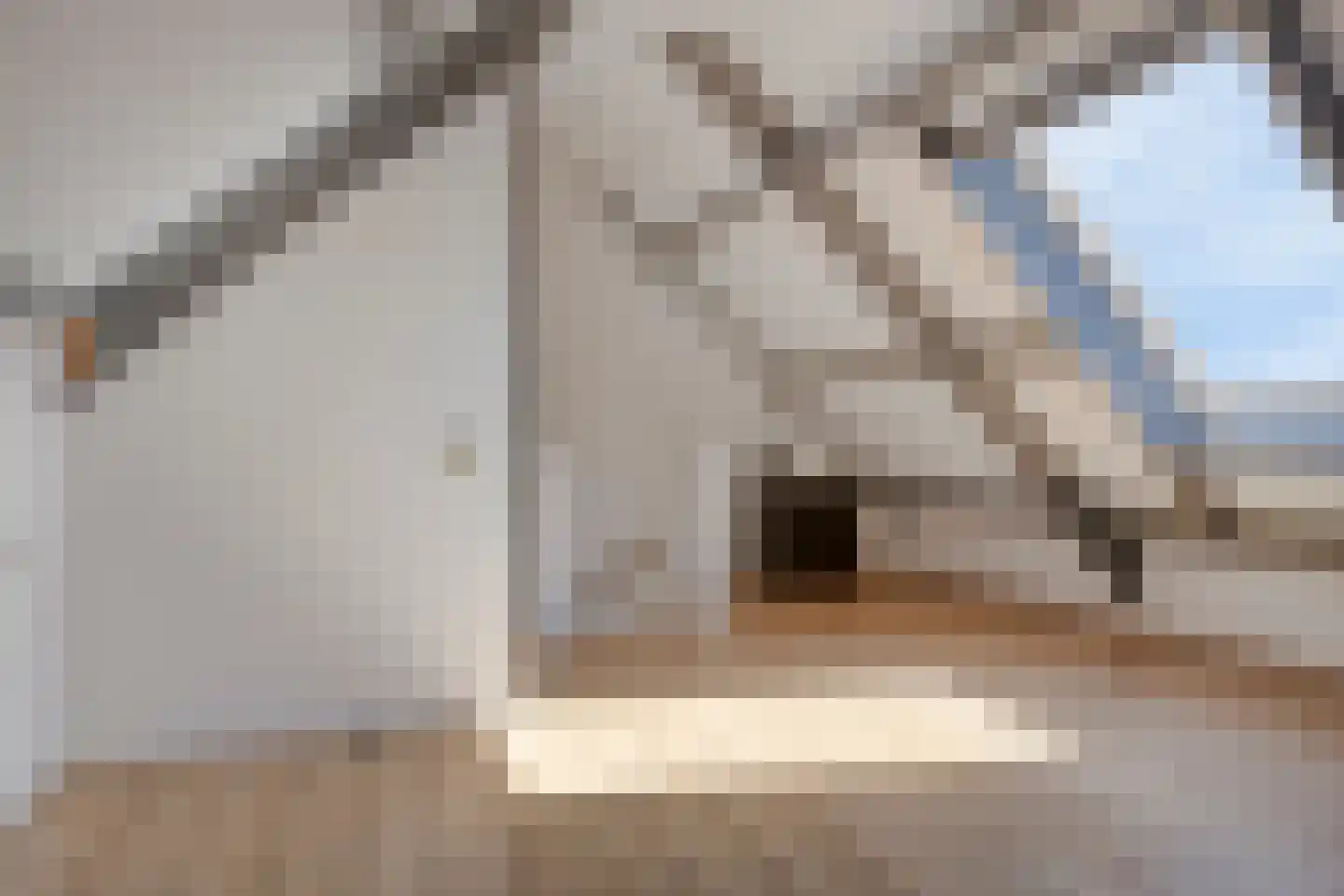 Pinksterbloem 26 Kampen thumbnail 27