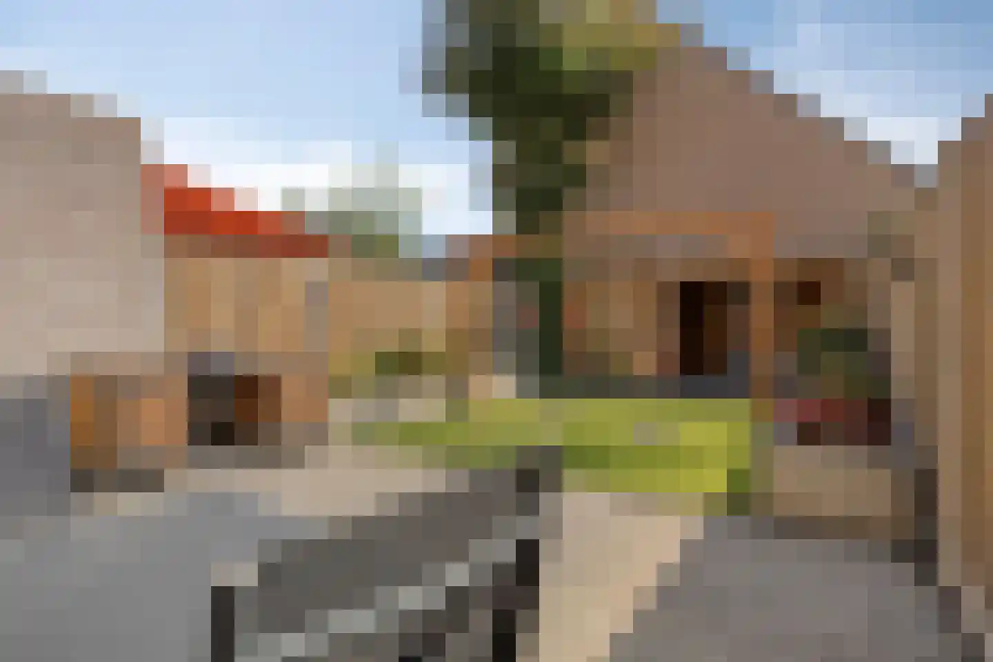 Pinksterbloem 26 Kampen thumbnail 31
