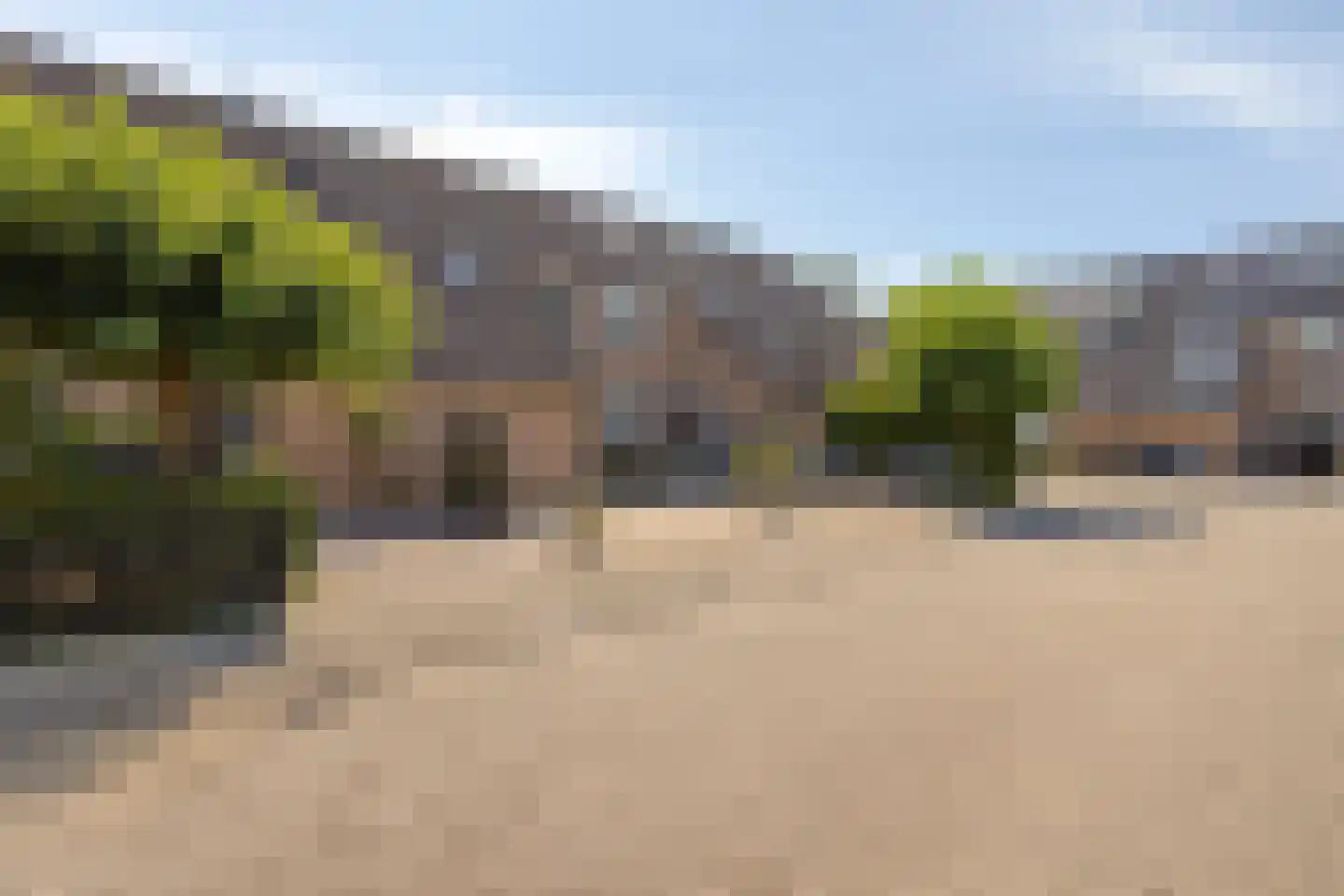 Pinksterbloem 26 Kampen thumbnail 37