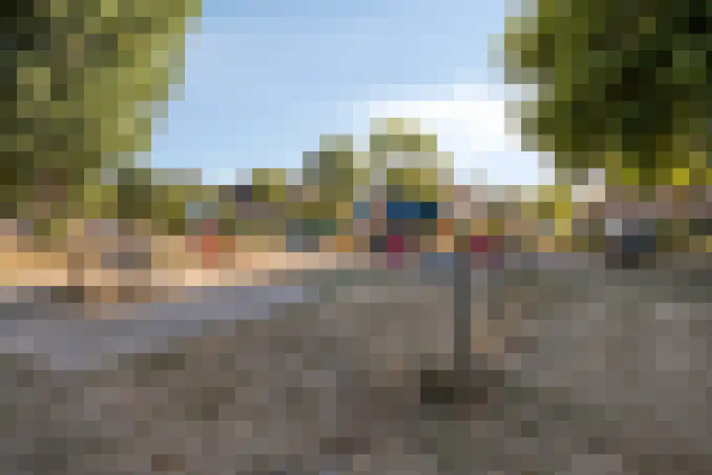 Pinksterbloem 26 Kampen thumbnail 38