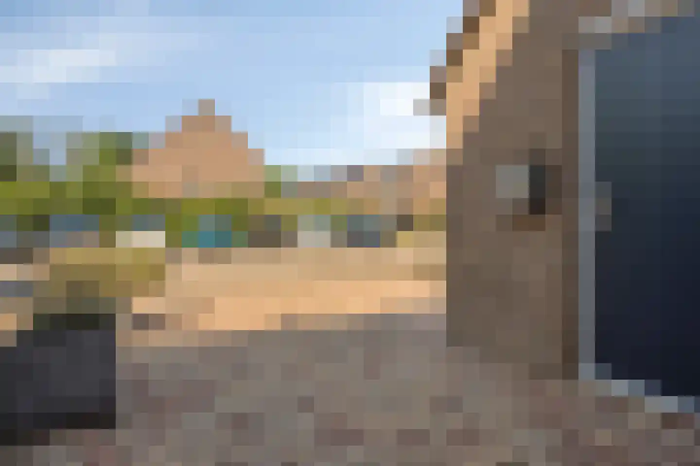 Pinksterbloem 26 Kampen thumbnail 7