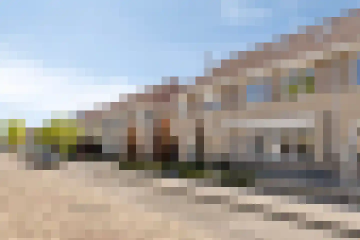 Pinksterbloem 27 Haaksbergen thumbnail 40