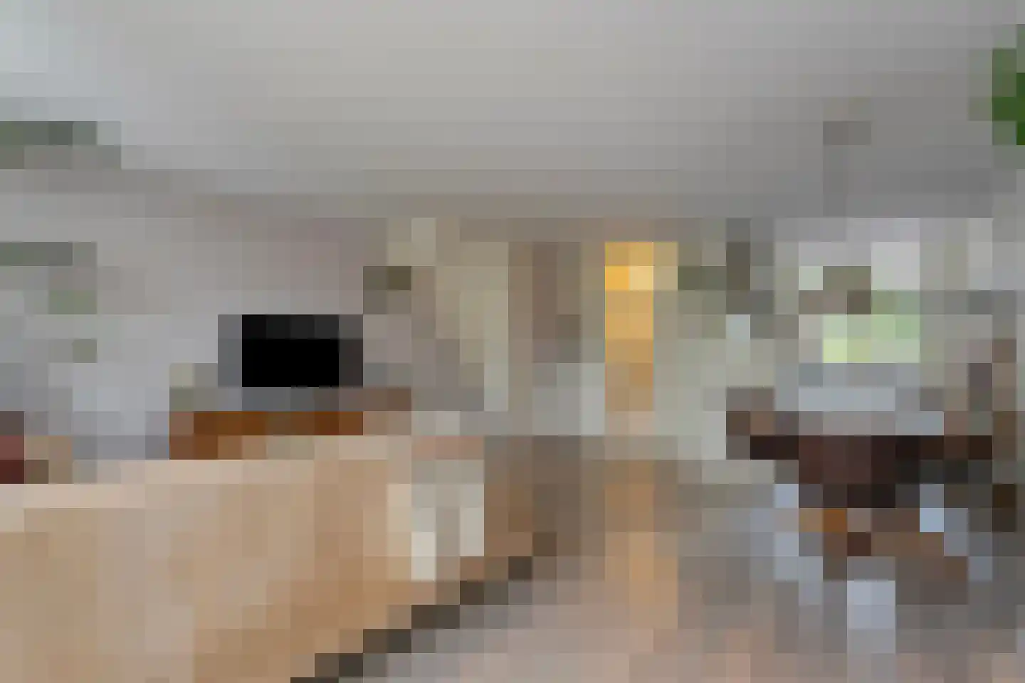 Pinksterbloem 27 Kampen thumbnail 11