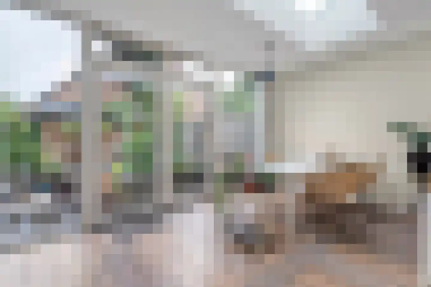 Pinksterbloem 27 Kampen thumbnail 15