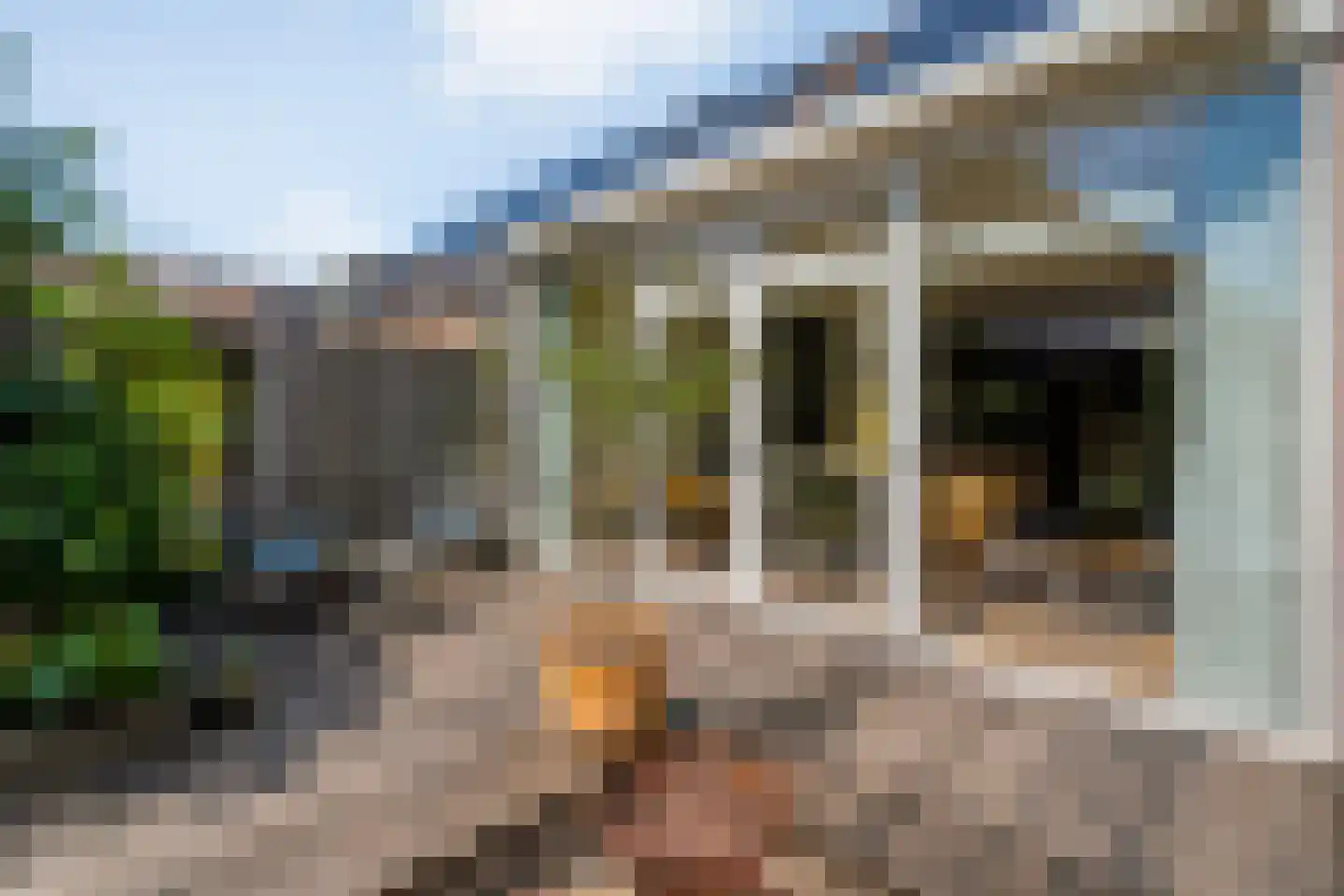 Pinksterbloem 27 Kampen thumbnail 31