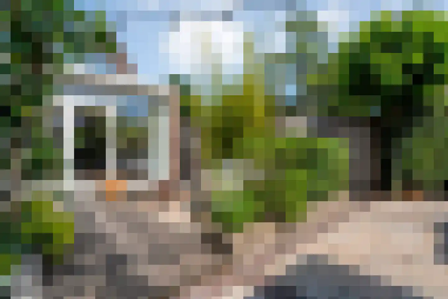 Pinksterbloem 27 Kampen thumbnail 35