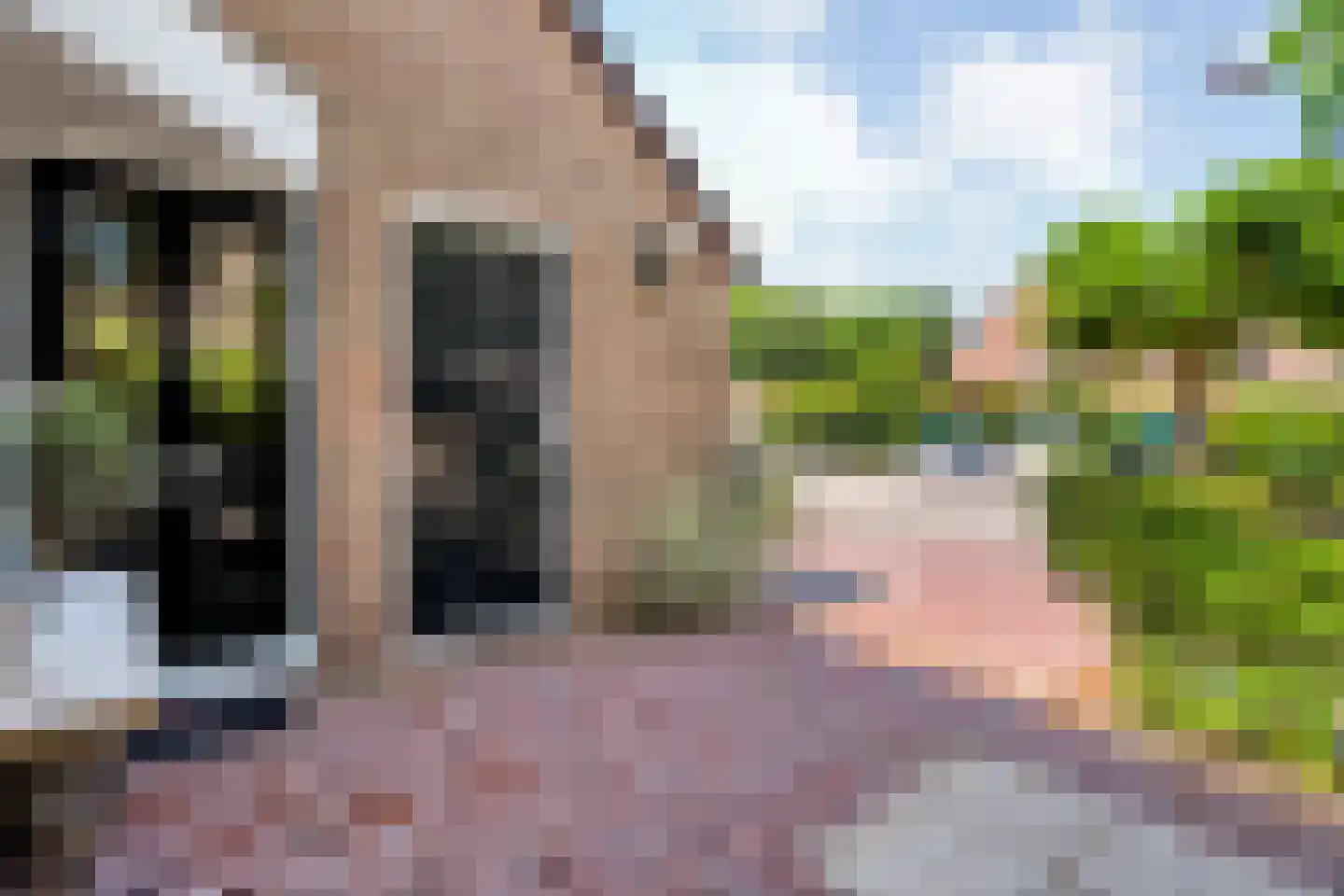 Pinksterbloem 27 Kampen thumbnail 4