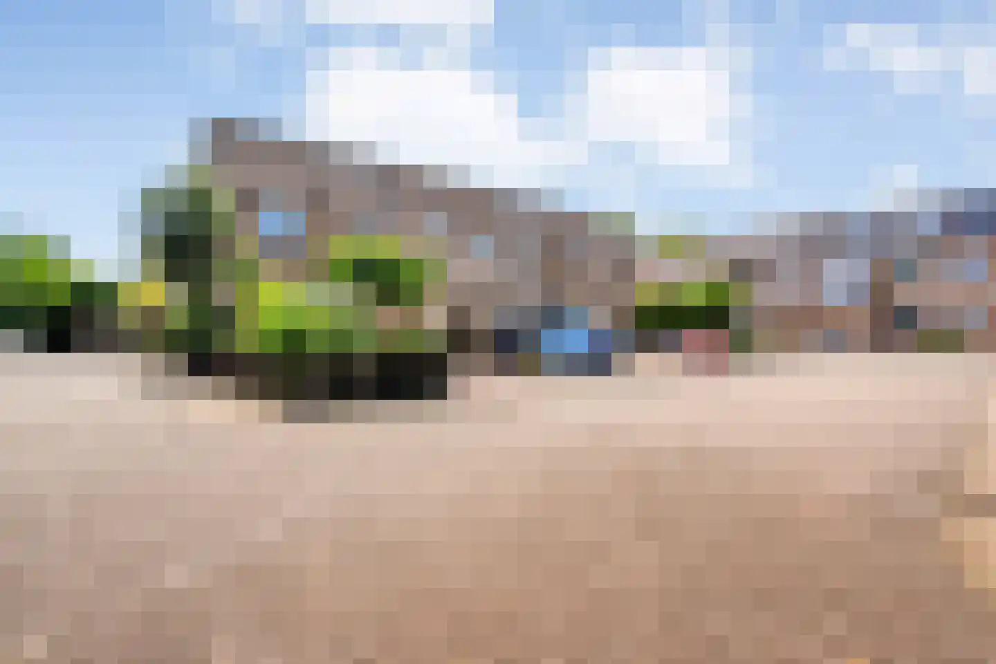 Pinksterbloem 27 Kampen thumbnail 41