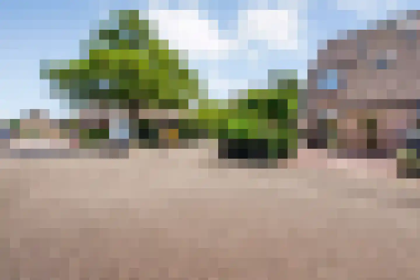 Pinksterbloem 27 Kampen thumbnail 42