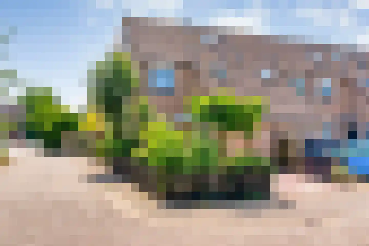 Pinksterbloem 27 Kampen thumbnail 43