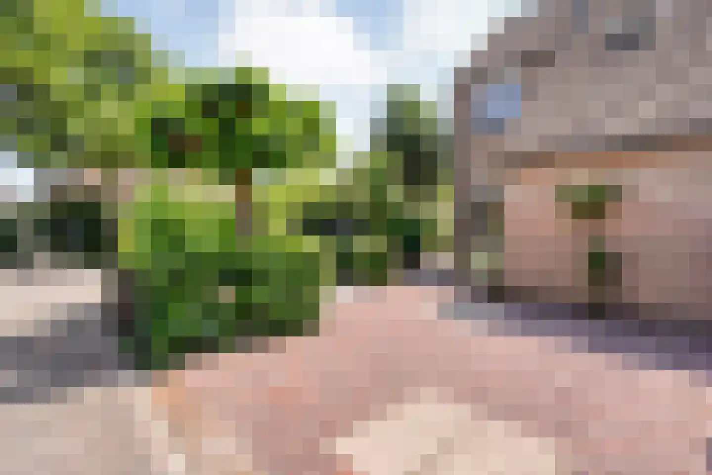 Pinksterbloem 27 Kampen thumbnail 44