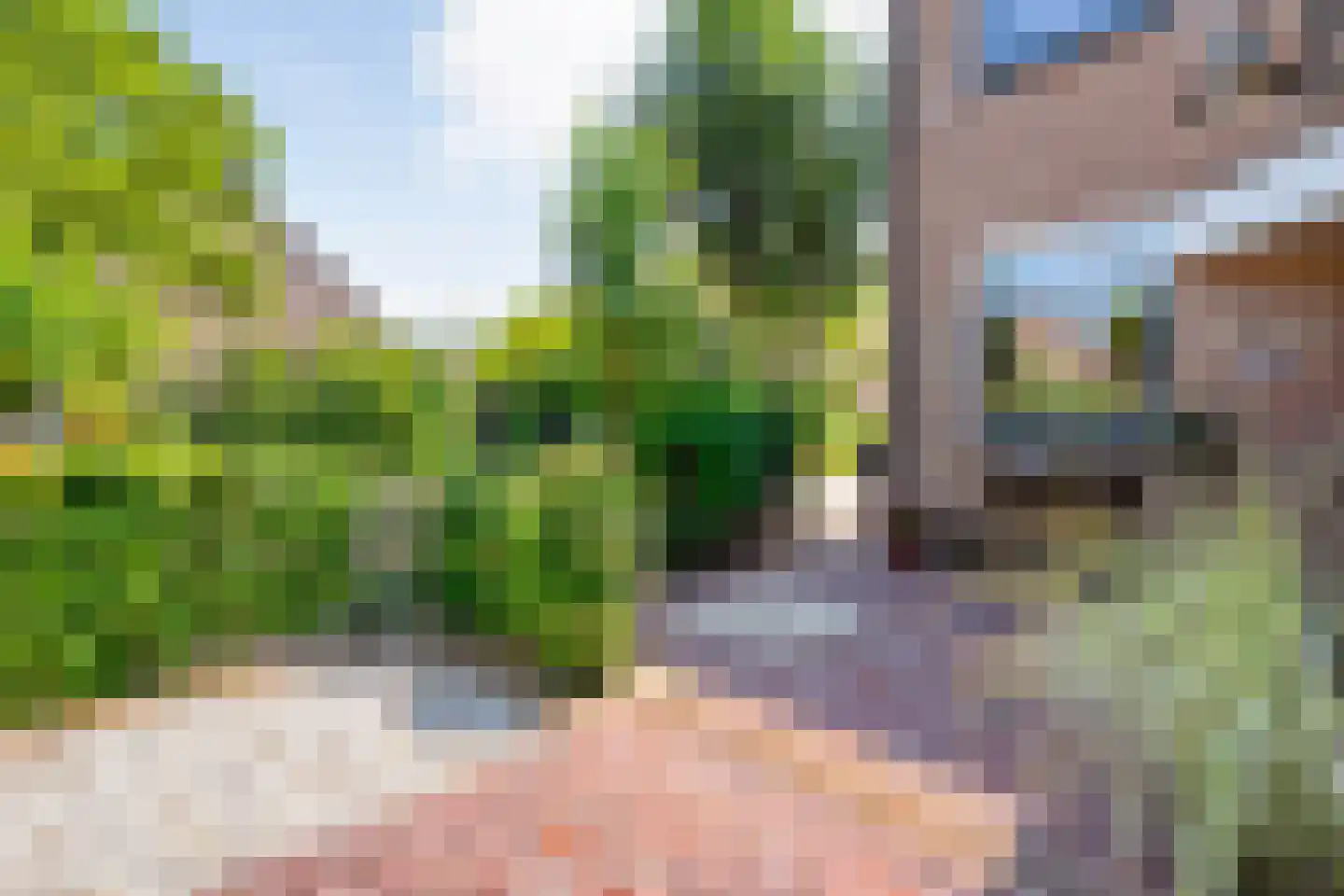 Pinksterbloem 27 Kampen thumbnail 46