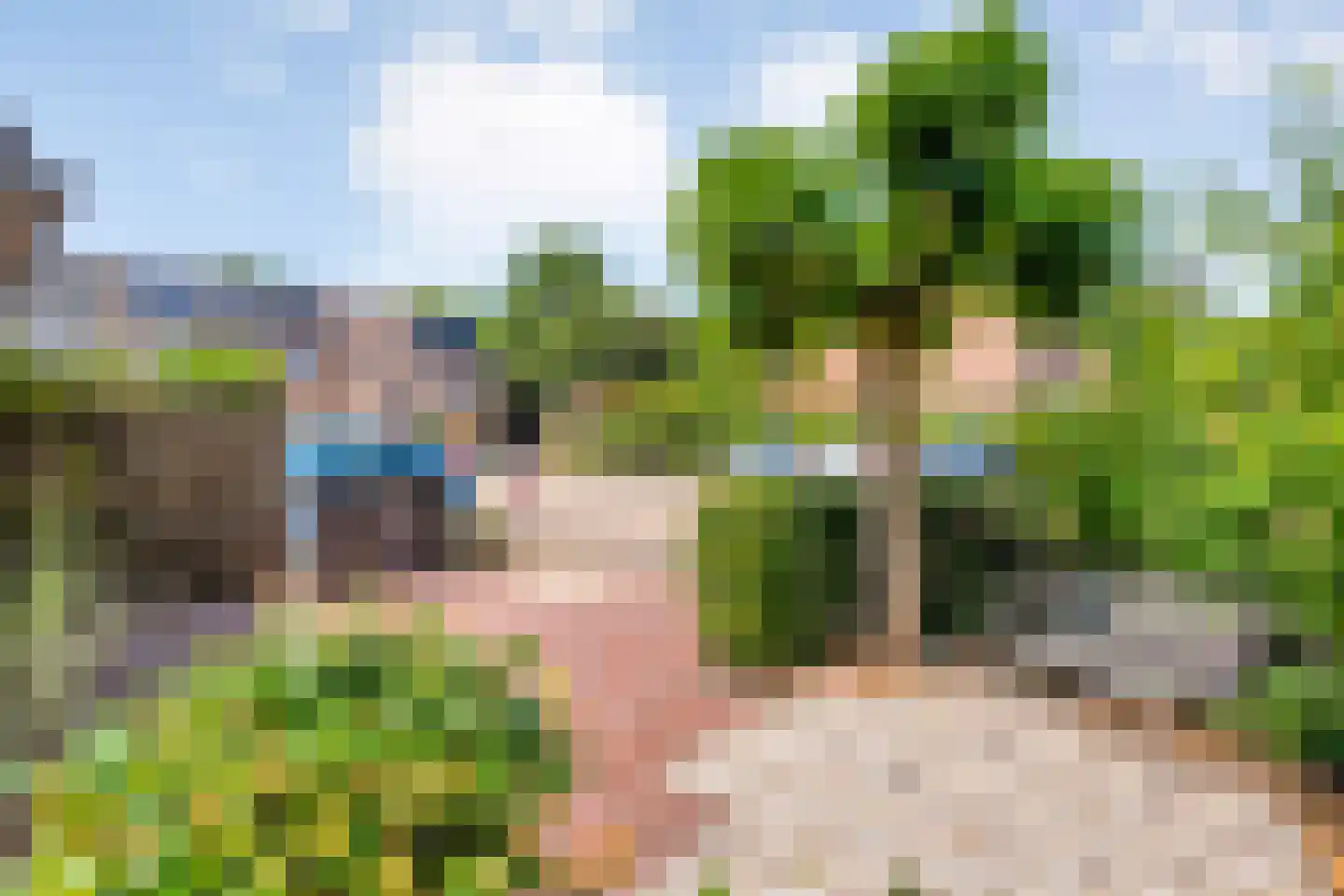 Pinksterbloem 27 Kampen thumbnail 47