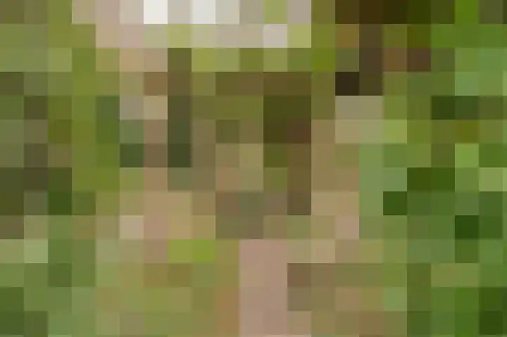 Pinksterbloem 29 Culemborg thumbnail 21
