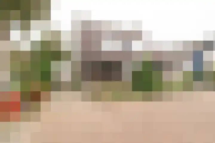 Pinksterbloem 29 Culemborg thumbnail 33